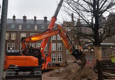 Bandenkraan Dks Grondwerk Bomen Verplanten Amsterdam